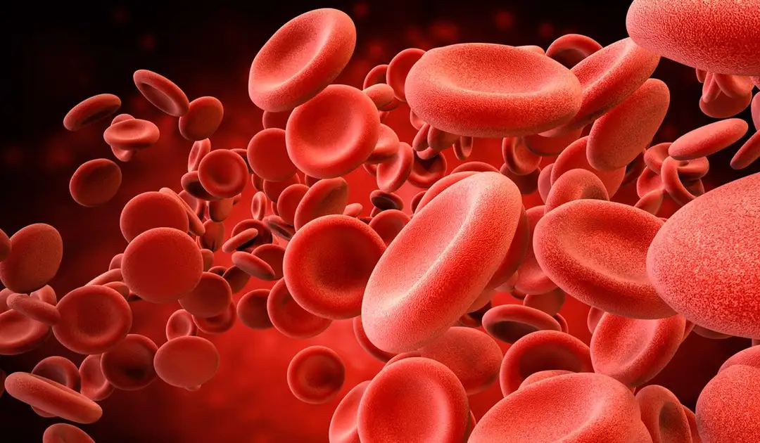 Obtienen sustitutos de la sangre que pueden transfundirse de forma segura y rápida.