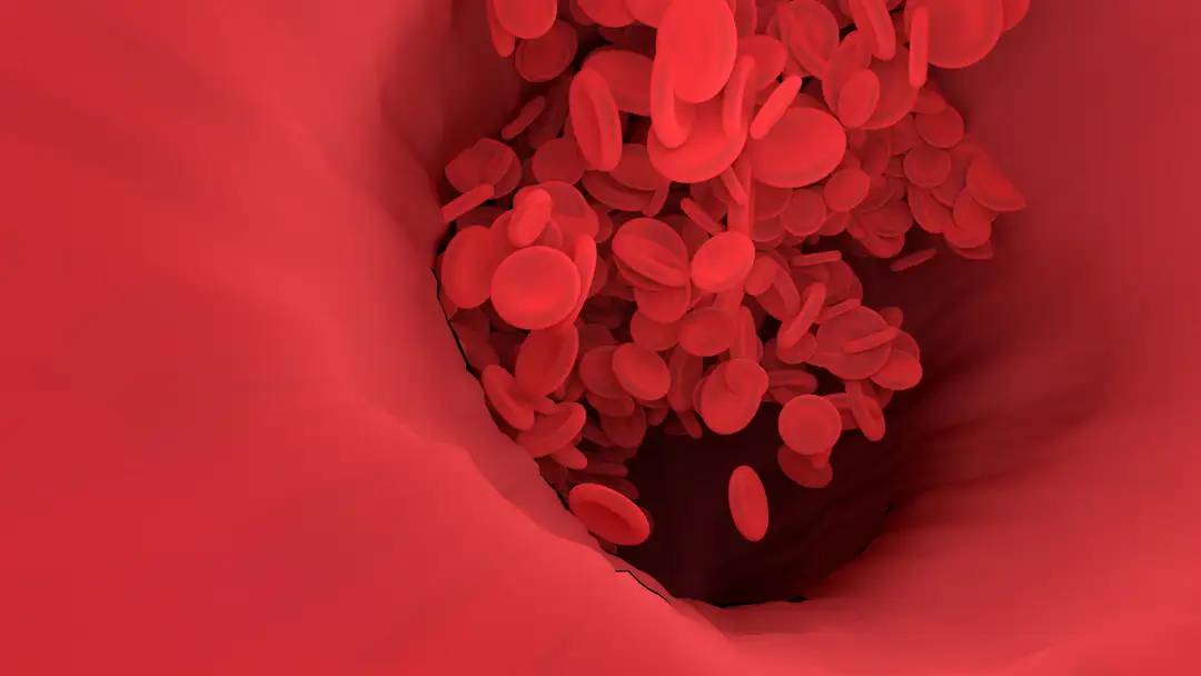 Amiloidose AL: o diagnóstico ainda demora dois anos — e isso mata pacientes