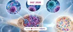 IMS 2026: três estudos que foram destaque no 3º dia do congresso — CAR-T, etentamig e a consolidação do DVRd-DR