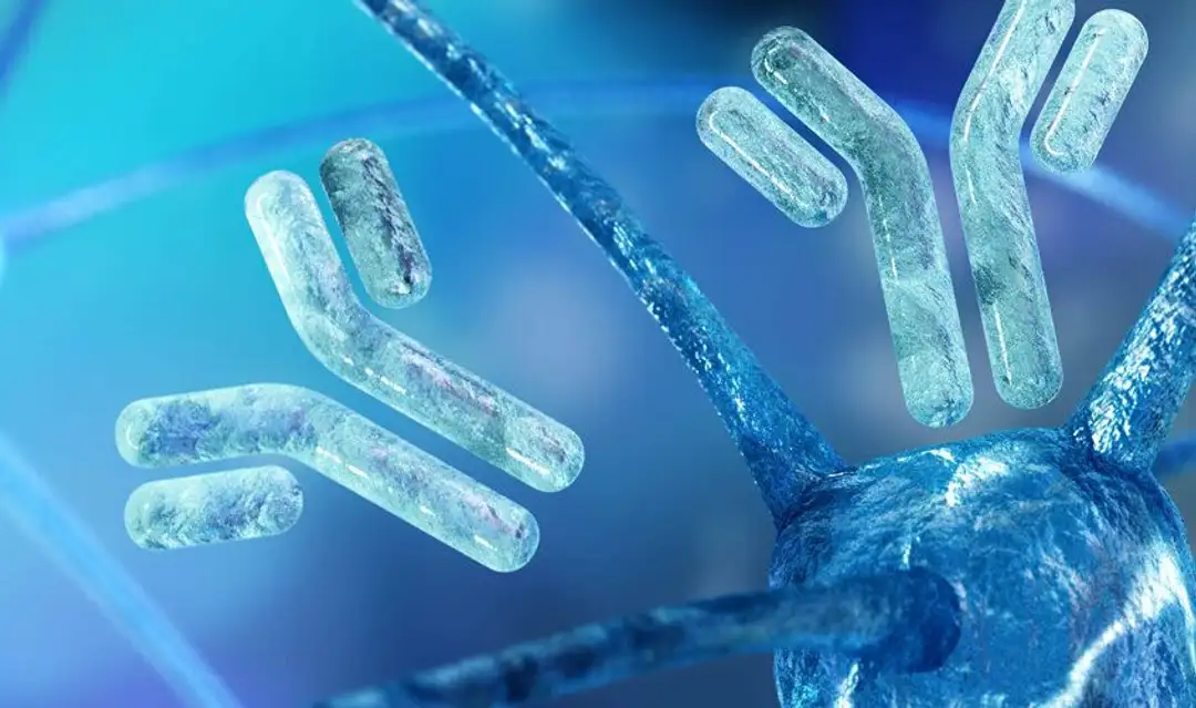 Resultados preclínicos positivos con una inmunoterapia en modelos de mieloma refractario.