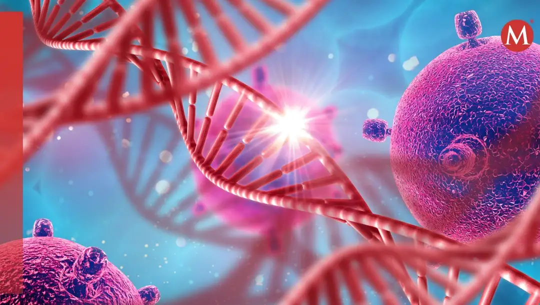 Mutaciones en el gen MYH9 dictan la gravedad de enfermedades raras de la sangre.